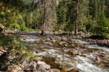 Yosemite Ulusal Parkı