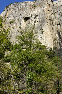 Yosemite Ulusal Parkı