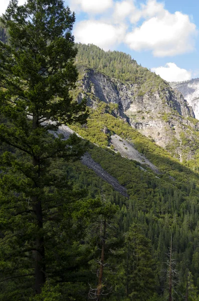 Yosemitský národní park — Stock fotografie