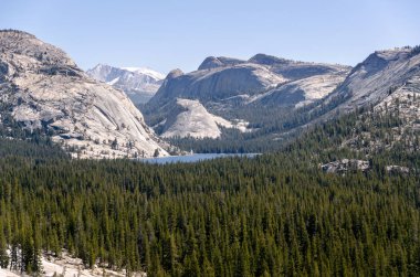 Yosemite Ulusal Parkı