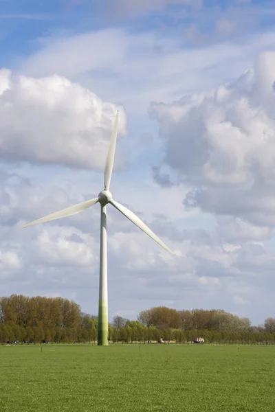 Windturbines in Nederland — Stockfoto