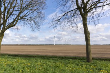 Rüzgar türbinleri Hollanda