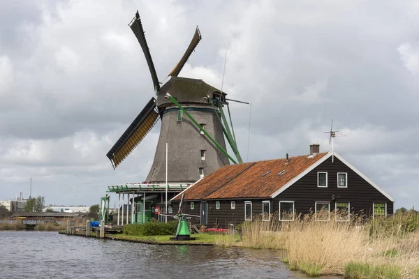 Типичный ветряные мельницы в Зансе Сханс в Нидерландах с большим голубое небо — 스톡 사진