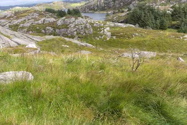 Egersund Fyr en Noruega — Foto de Stock