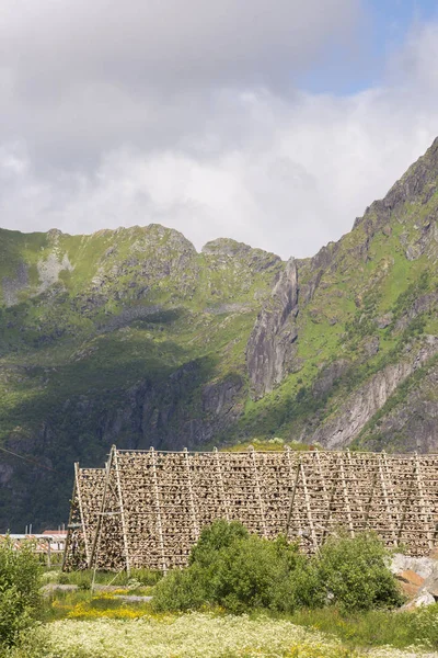 Rack för torkning av lutfisk på Lofoten — Stockfoto