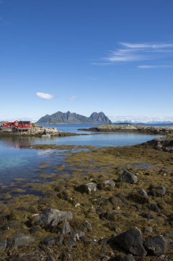 Svolvaer Lofoten içinde panoramik manzaraya