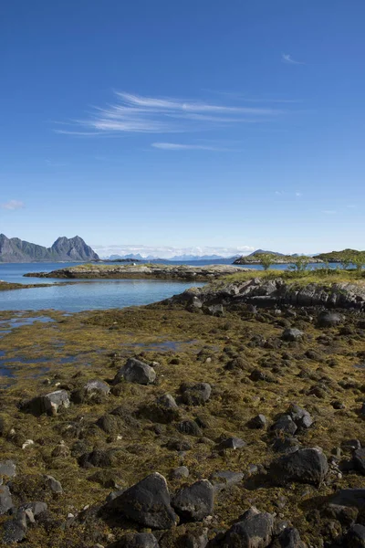 Svolvaer Lofoten içinde panoramik manzaraya
