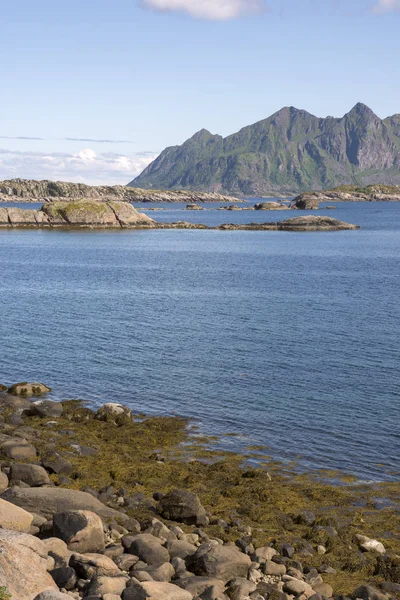 Svolvaer Lofoten içinde panoramik manzaraya