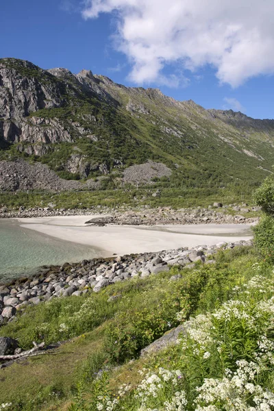 Norveç'te Lofoten, henningsvaer