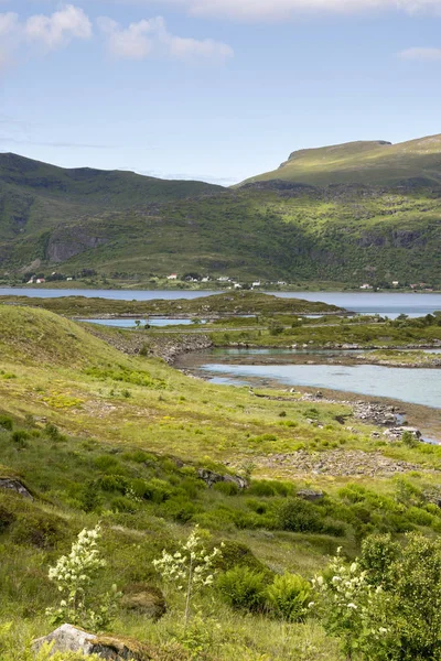 Broarna vid Fredvang i Lofoten Norge — Stockfoto