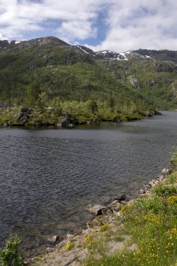 Eggun Norveç'te genel bakış