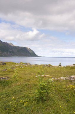 Eggun Norveç'te genel bakış