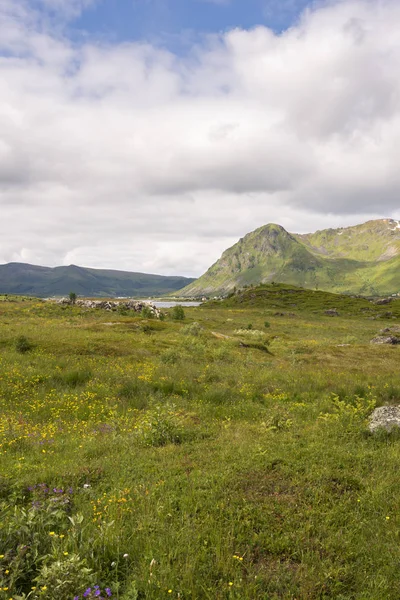 Eggun Norveç'te genel bakış