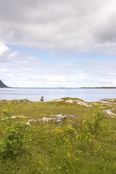 Visão geral em Eggun na Noruega — Fotografia de Stock