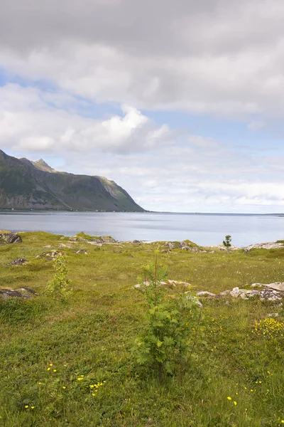 Eggun Norveç'te genel bakış