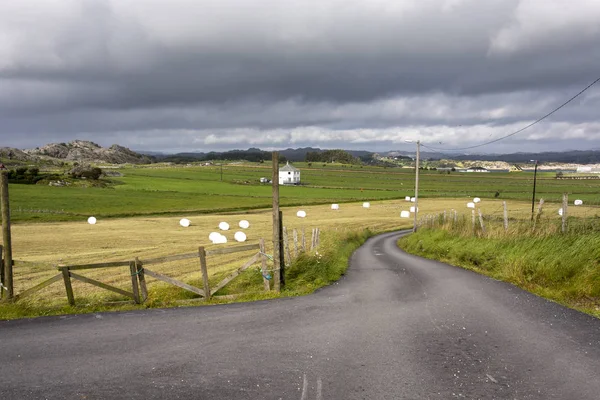 Balle di fieno in Norvegia — Foto Stock