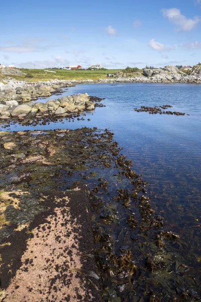 Meer Und Küste Nach Haugesund Norwegen — Stockfoto