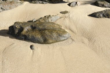 kum ve deniz Ilha dos Paraty Brezilya Pelados üzerinde