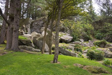 Park ve Norveç'te Skudeneshavn doğada 