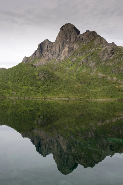 Küçük Nyksund Ülke Norveç Lofoten Adaları Körfez Panoraması — Stok fotoğraf