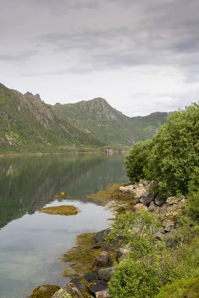 Blick Auf Den Golf Des Kleinen Nyksundlandes Auf Den Lofoten — Stockfoto