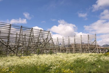 Svolvaer, Norveç'te Lofoten stockfish kurutma için raflar genel bakış