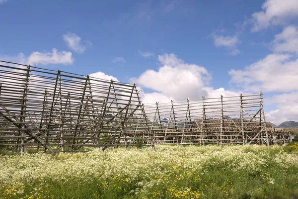 Svolvaer, Norveç'te Lofoten stockfish kurutma için raflar genel bakış