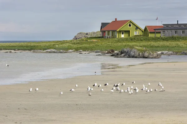 Panorama Eggum Lofoten Noruega — Fotografia de Stock