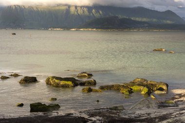 Lofoten Norveç'te saatlerinde gece yarısı Eggum içinde Panorama