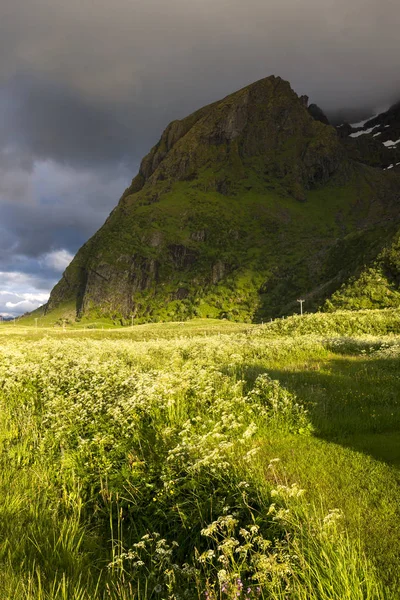 Panorama Eggum Middernacht Lofoten Noorwegen — Stockfoto