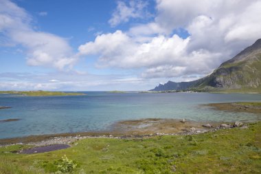 panoramik manzaralar ve köprüler Lofoten Norveç'te Fredvang