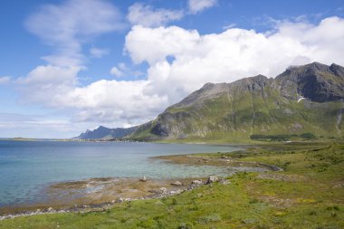 panoramik manzaralar ve köprüler Lofoten Norveç'te Fredvang