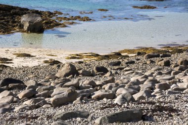 henningsvaer, Norveç'te Lofoten'ın kıyısındaki Panorama