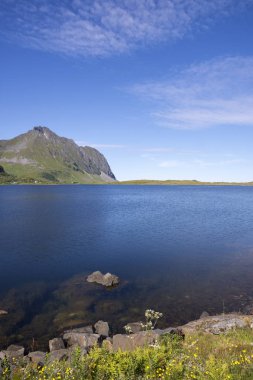 koruma Lofoten Norveç'te Eggum park alanı
