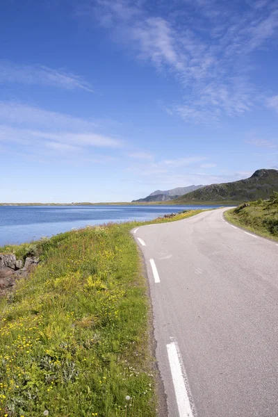 ノルウェーのロフォーテン諸島の Eggum の公園エリアを保護 — ストック写真