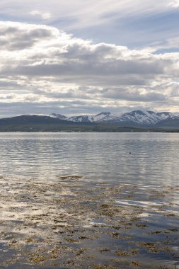 Lofoten Norveç'te Tromso kumsallarında Panorama