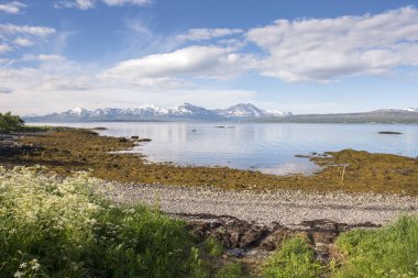 Lofoten Norveç'te Tromso kumsallarında Panorama