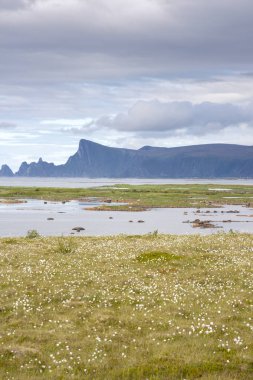Lofoten Norveç'te Andenes, genel bakış