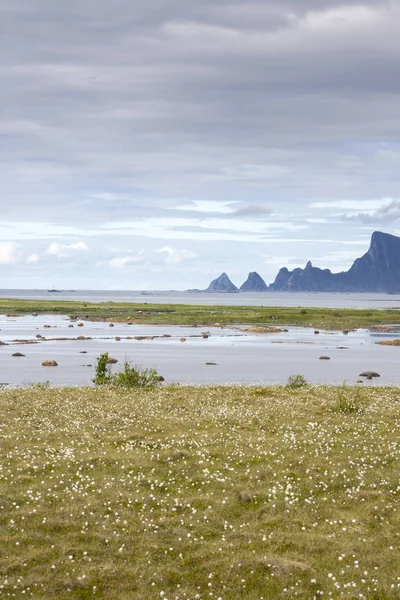 Обзор Andenes Лофотене Норвегии — стоковое фото