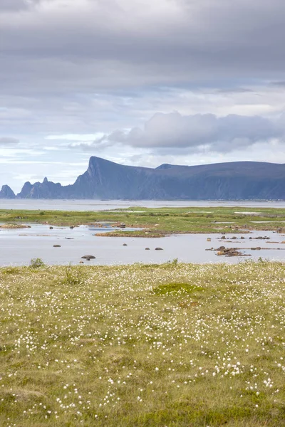 ノルウェーのロフォーテン諸島のアンデネスの概要 — ストック写真
