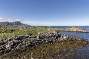 Andenes Norveç'te lofoten Adaları, tropik kumsalda genel bakış 