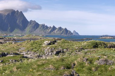 Andenes Norveç'te lofoten Adaları, tropik kumsalda genel bakış 