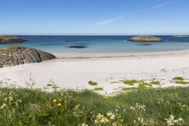 Andenes Norveç'te lofoten Adaları, tropik kumsalda genel bakış 