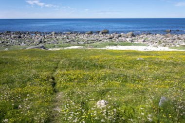 koruma Lofoten Norveç'te Eggum park alanı