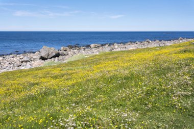 koruma Lofoten Norveç'te Eggum park alanı