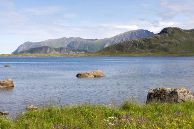 koruma Lofoten Norveç'te Eggum park alanı