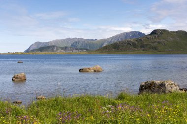koruma Lofoten Norveç'te Eggum park alanı
