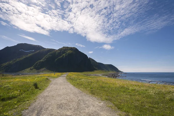 ノルウェーのロフォーテン諸島の Eggum の公園エリアを保護 — ストック写真