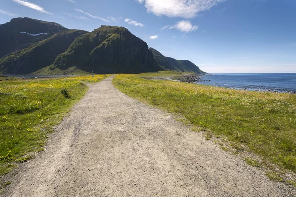 Parco Protetto Eggum Lofoten Norvegia — Foto Stock