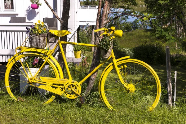 Bicicleta Amarela Jardim Eggum Noruega — Fotografia de Stock